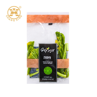 CPP PET Eco Friendly Plastic Fruit Pouches Vegetables Green Food Packaging Bags