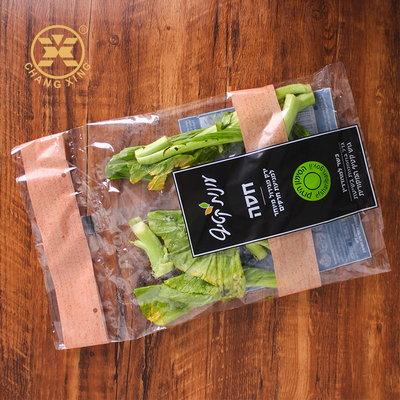 CPP PET Eco Friendly Plastic Fruit Pouches Vegetables Green Food Packaging Bags