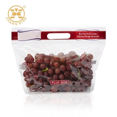 100g 500g Dry Fruit Packaging Bags With Hole Fresh Cherry Stand Up Pouches Eco Friendly