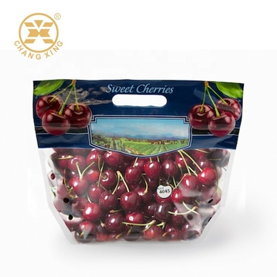 100g 500g Dry Fruit Packaging Bags With Hole Fresh Cherry Stand Up Pouches Eco Friendly