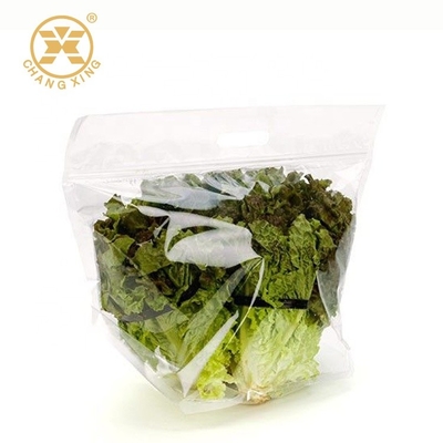 1KG Perforated Poly Gravure Zip Pouch Clear Plastic Bags For Packaging Salad