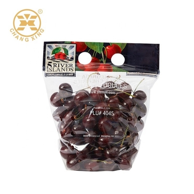 500g Vegetables Resealable Stand Up Pouch Bags Dry Fruits Packaging Pouch Zipper Top